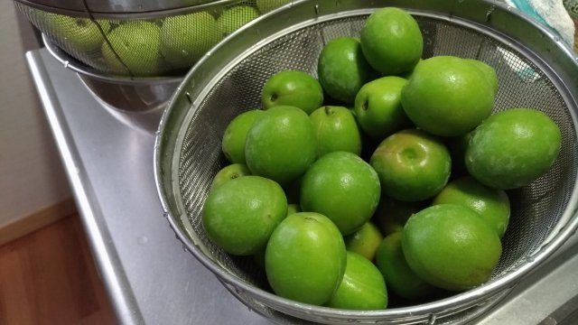 【農家のレシピ】手軽に梅シロップを作るときに使う道具と手順 1