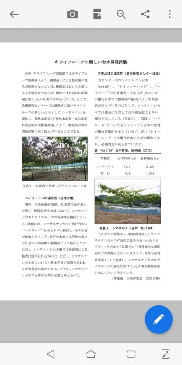 キウイの台木