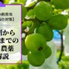 ブドウの黒とう病対策｜休眠期～収穫期までの防除･農薬を解説 23