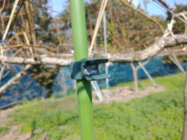 タキロンパイプ（農業用支柱）で簡単に梨のジョイント棚を作成する方法 135