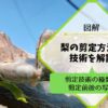 梨の剪定方法と技術を図解 117