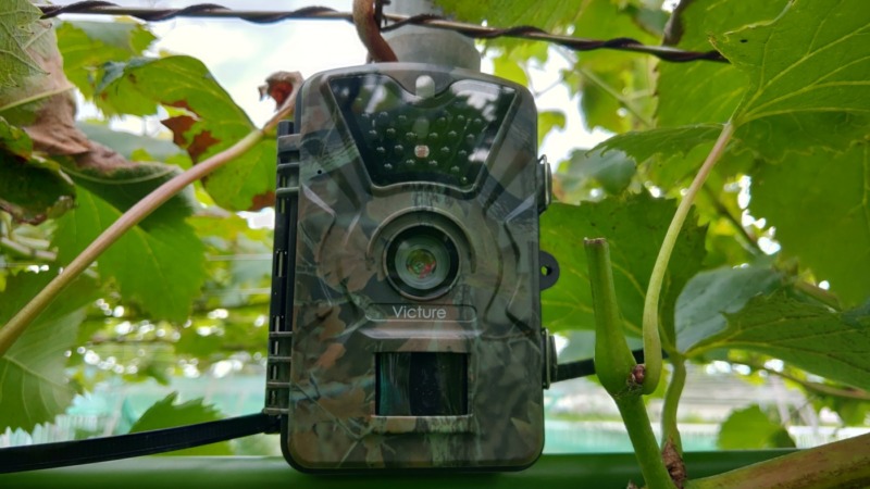 【農作物の盗難防止対策】果樹園の防犯対策･防犯カメラ･防犯グッズを紹介 412