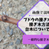 ブドウの接ぎ木時期｜ブドウの接ぎ木方法や台木についてを画像で解説 22