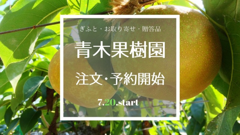 2024/7/20より予約･注文受け付け開始致しました【ギフト･お取り寄せ･贈答品のブドウ、梨】 2