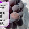 ブドウの晩腐病対策｜散布時期や農薬･予防･治療方法を解説 562