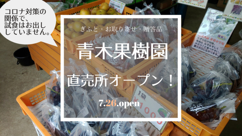 【直売所開店のお知らせ】青木果樹園 直売所オープンしました【梨・ブドウの直売所･藤沢】 6