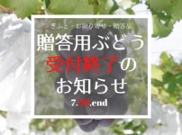 2022/7/30 『贈答用ぶどう』の受付終了のお知らせ 23
