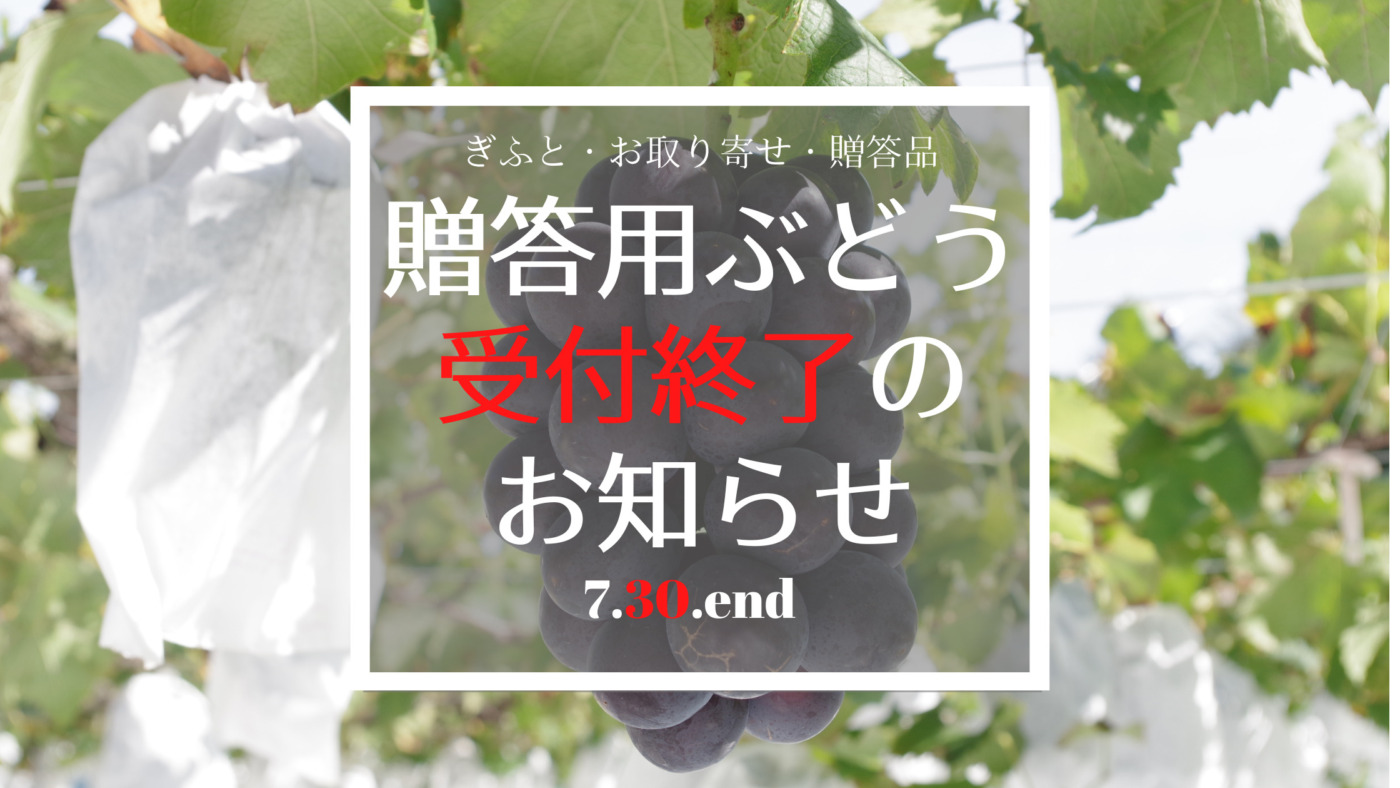 2022/7/30 『贈答用ぶどう』の受付終了のお知らせ 30
