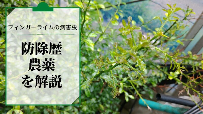 フィンガーライムの防除歴･農薬一覧 8
