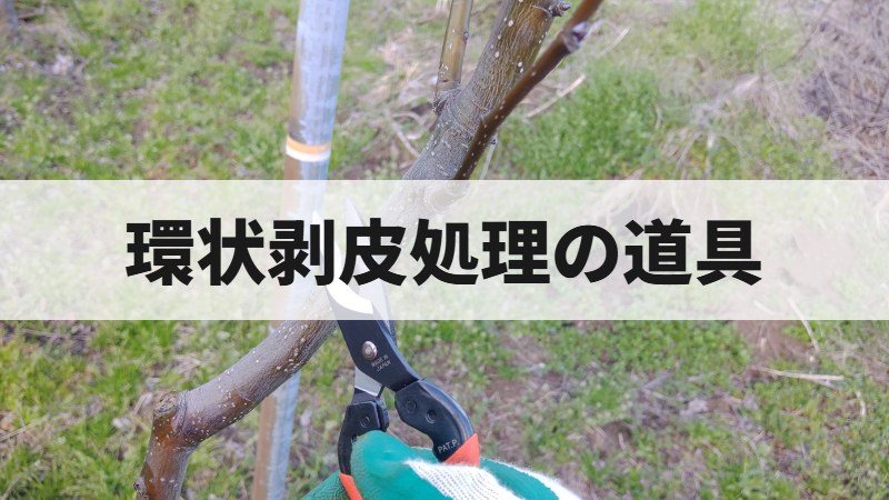 環状剥皮処理の道具