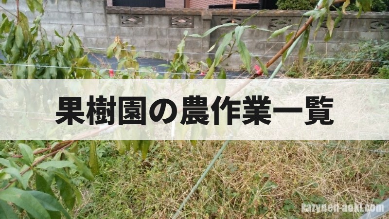 ブドウ栽培の経営計画ツール