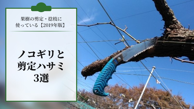 果樹の剪定･捻枝に使っているノコギリや選定ハサミ３選【2019年版】