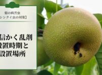 梨の病害虫【シンクイ虫の対策】交信かく乱剤の設置時期と効果的な設置場所