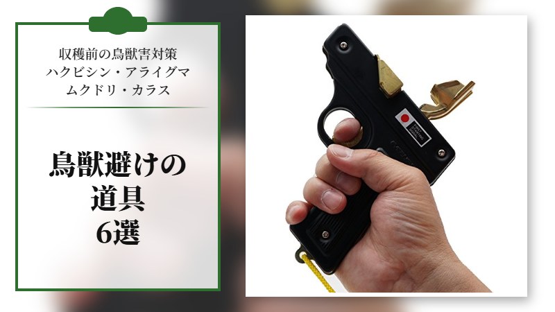 【収穫前の鳥獣害対策】ハクビシン･アライグマ、ムクドリやカラス避け道具６選【最新版】