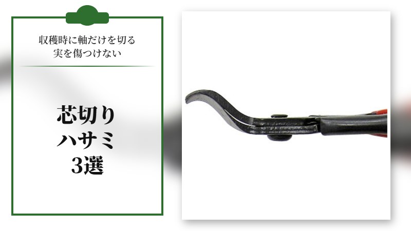 収穫時に軸だけを切って実を傷つけない芯切りハサミ３選【最新版】