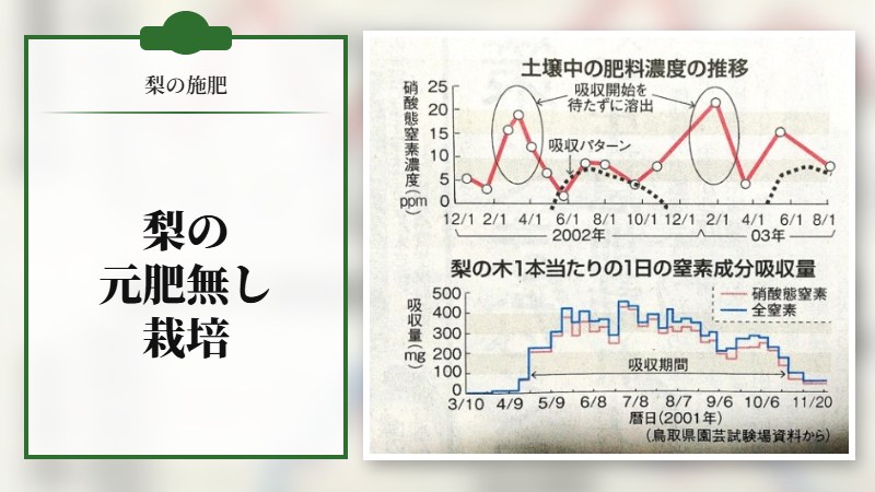 梨の元肥無し栽培