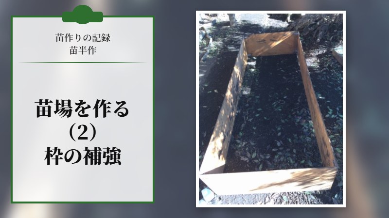 苗場を作る。苗半作 2