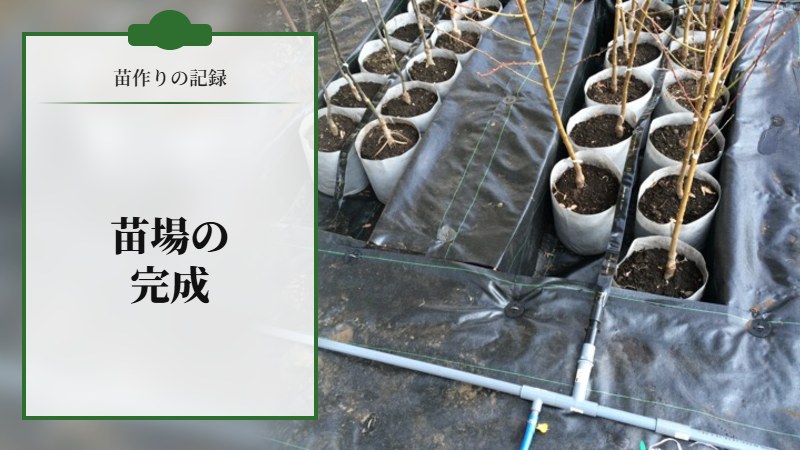 苗場の完成