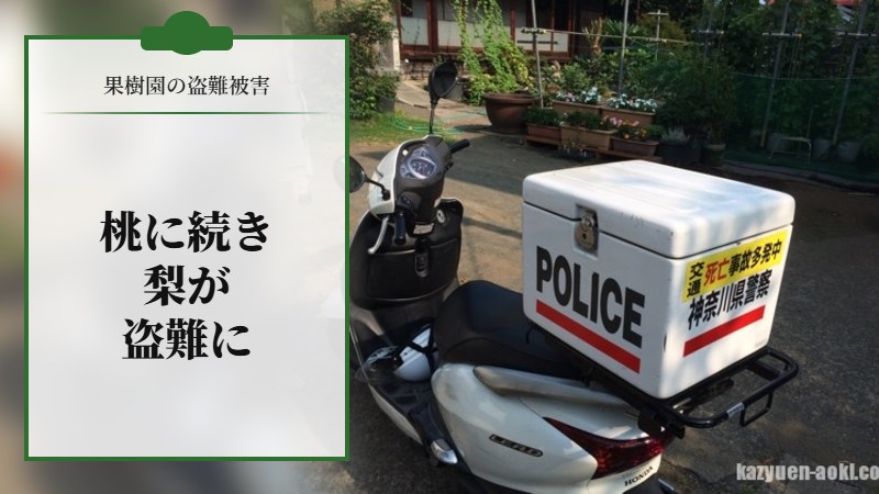 警察に通報へ。桃に続き梨が盗難に