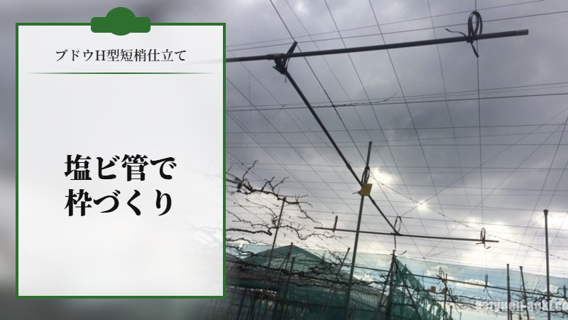 塩ビ管を使ったブドウH型短梢仕立ての枠作り