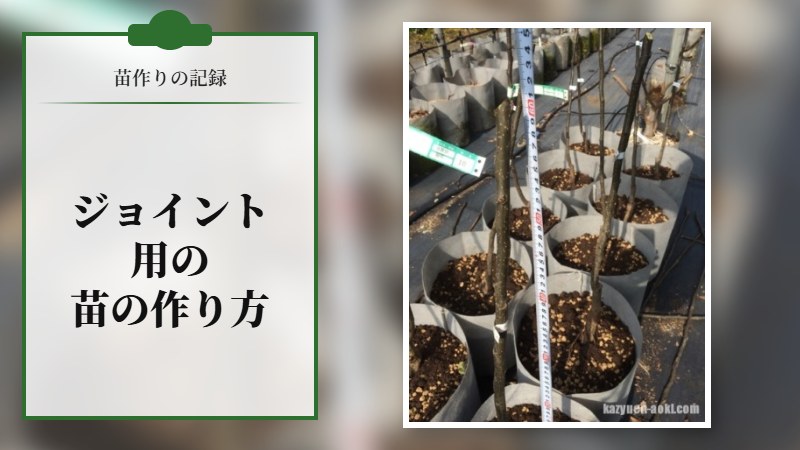 ジョイント用の苗の作り方