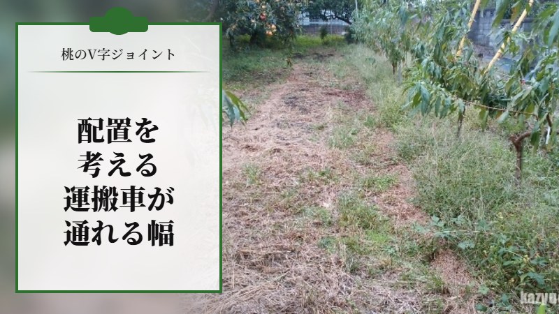 桃のV字ジョイントの配置を考える。運搬車が通れる幅にしようかなぁ。