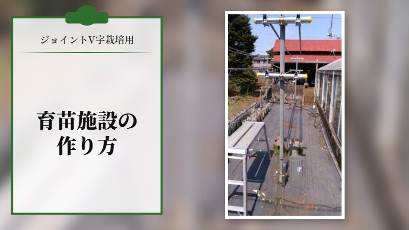 ジョイントV字栽培用の育苗施設の作り方