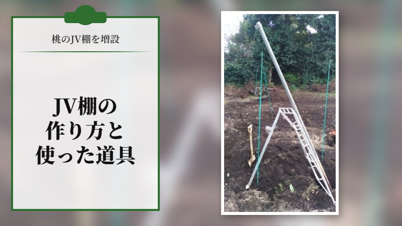 【JV棚の作り方】桃のJV棚を増設したときに使った道具と作り方を紹介