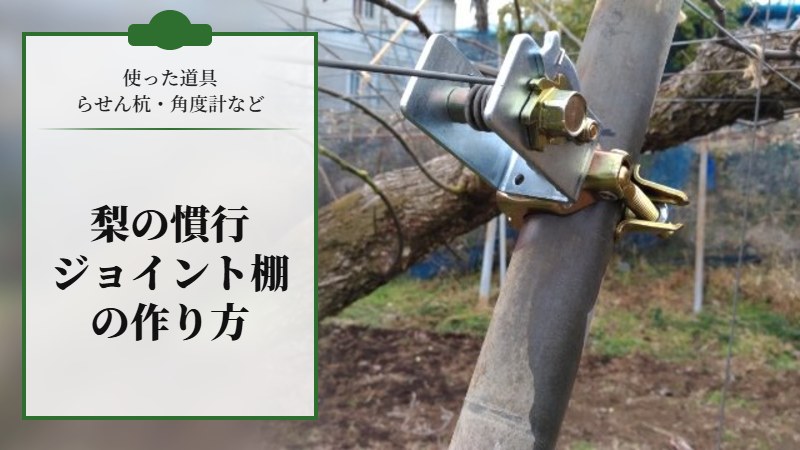 梨の慣行ジョイント棚の作り方【使った道具、らせん杭、角度計などを紹介】