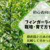 フィンガーライムの栽培·育て方を解説【原産国と日本の環境を比較して分かったこと】